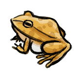 Yellow Frog.png