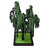 Willow Tree in Wooden Flowerbed.png