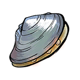 Pearl Oyster.png