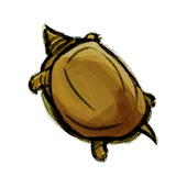 Golden Soft Shelled Turtle.png