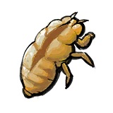 Cicada Slough.png