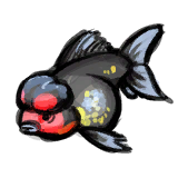Red and Black Lionhead Goldfish.png