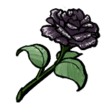 Black Rose.png