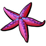 Red Starfish.png