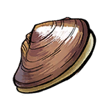 Mussel.png