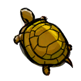 Golden Tortoise.png