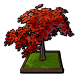 Maple Tree in Wooden Flowerbed.png