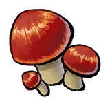 Matsutake Mushroom.png