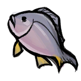 Yellowfin Bream.png