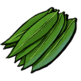 Reed Leaf.png