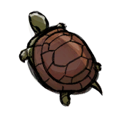 Tortoise.png