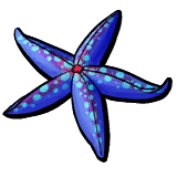 Blue Starfish.png