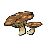 Ghost Mushroom.png