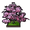 Peach Tree in a Wooden Flower Bed.png