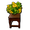 Yellow-green Bonsai.png
