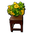Yellow-green Bonsai