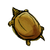 Golden Soft Shelled Turtle