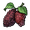 Mulberry Fruit.png