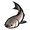 Spotted Silver Carp.png
