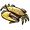 Golden Crab.png
