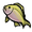 Gold Lucky Fish.png