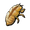 Cicada Slough.png