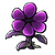 Purple Devil Flower