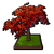 Maple Tree in a Wooden Flower Bed