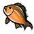 Rainbow Lucky Fish