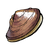 Mussel