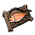 Fish Specimen - Rainbow Lucky Fish