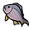 Yellowfin Bream.png