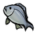 Silver Lucky Fish